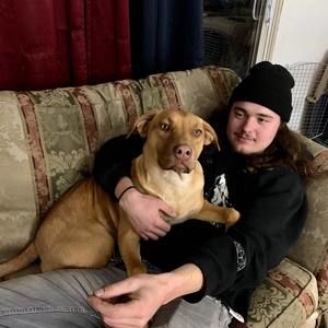 Meet your Posher, Dalton